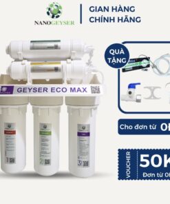 geyser eco max