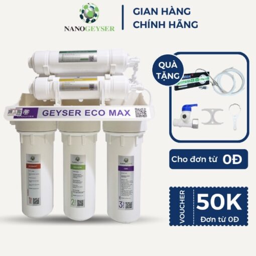 geyser eco max